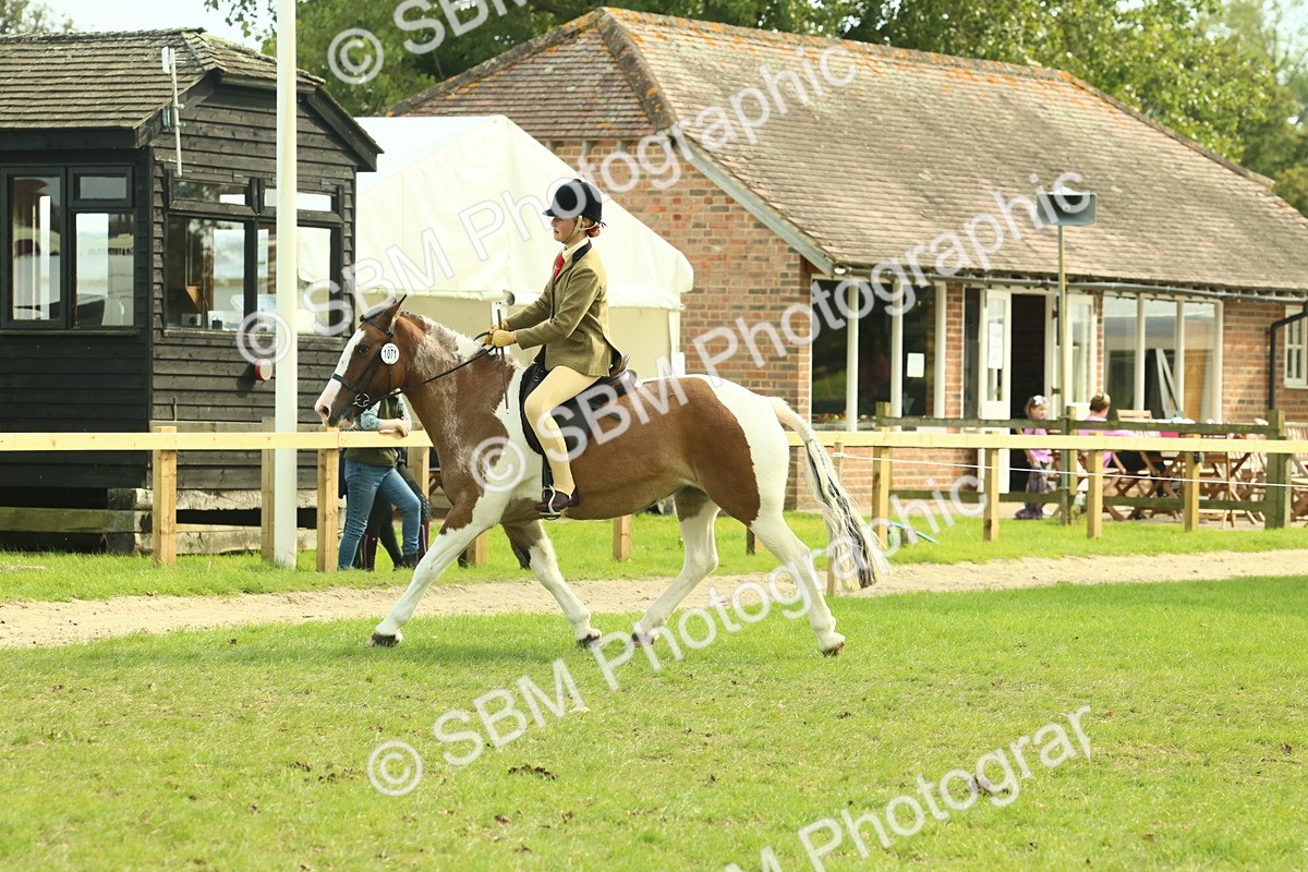SBM_68112 - S57 - Part Bred Pony Ridden