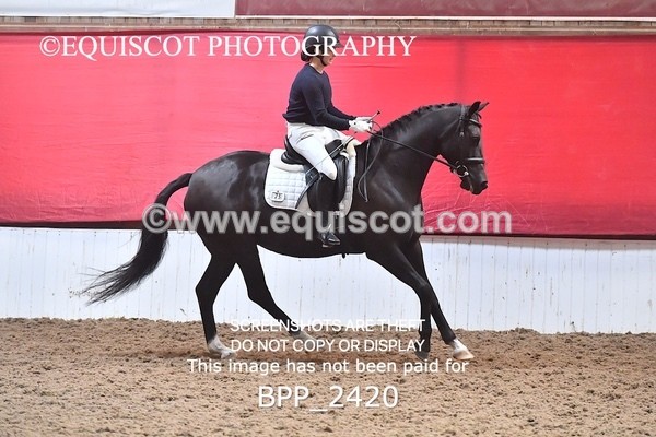 BPP_2420 - AFTERNOON 12.30 - 3.30PM