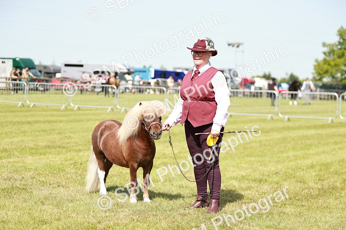 SBM_02025 - Class 14-23 - Mountain & Moorland In Hand Non Welsh