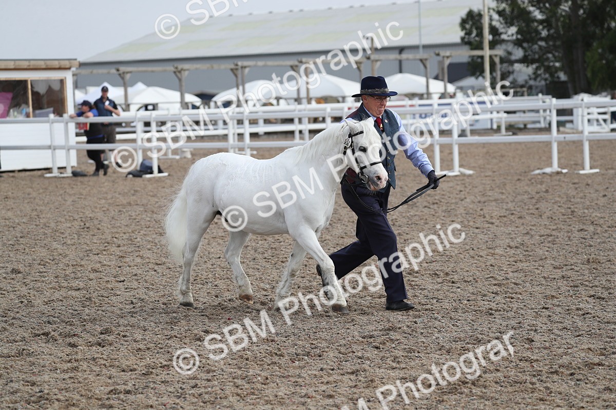 SBM_23152 - Class 605 - 2025 Area - IH Veteran