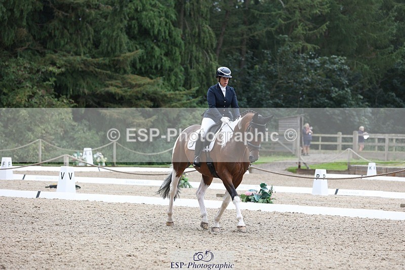 230812-103007-03237 - Cls 5 Novice Bronze Start to 10.55 break