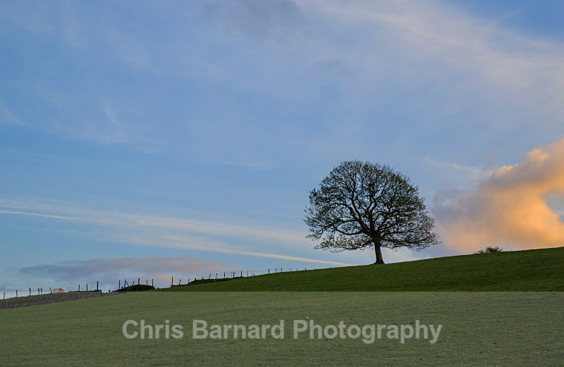  - Siblyback Lake
