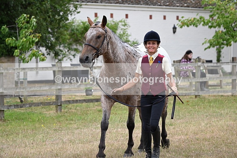 WJ6_8009 - Class 10 Coloured in Hand