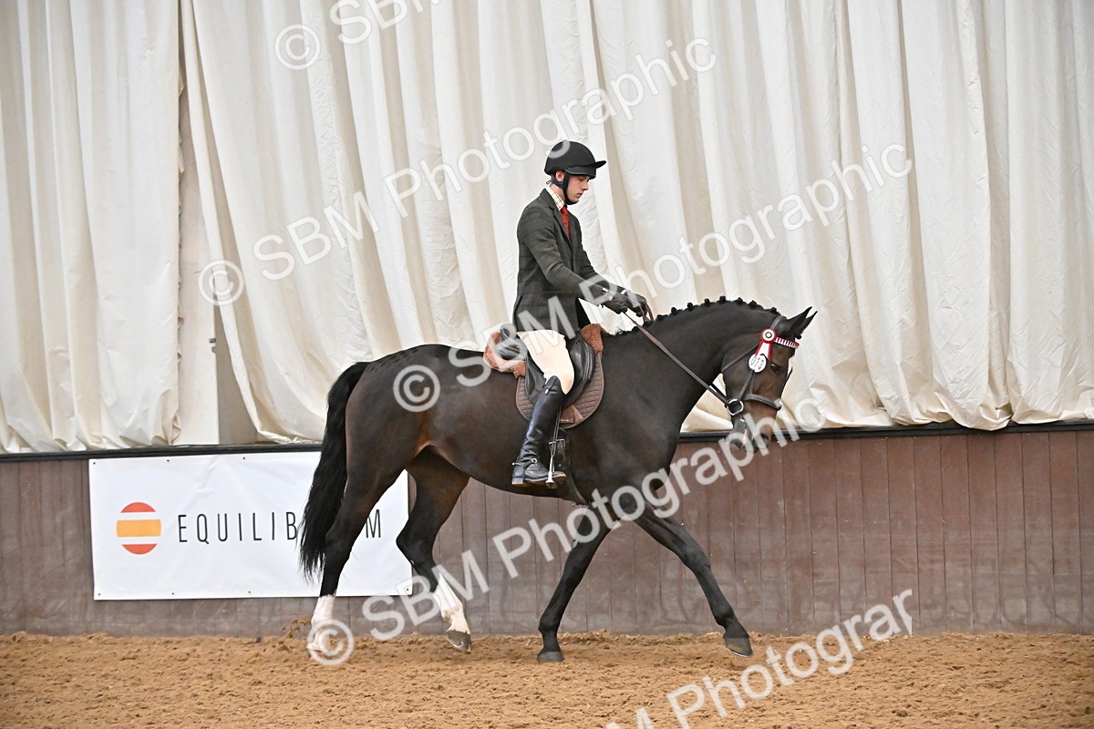 SBM_002339 - Class 22 - BSHA Ridden Hack & Riding Horse