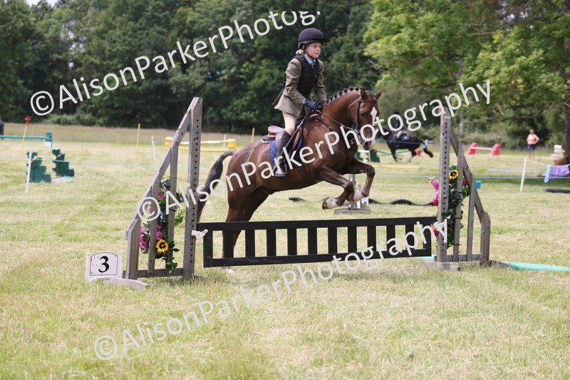 20260614-2844 - Class 22 - Open Working Hunter