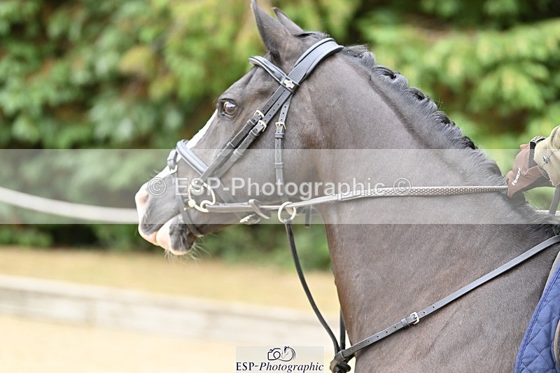 250820A-115923-04012 - Round 1, 11am to End