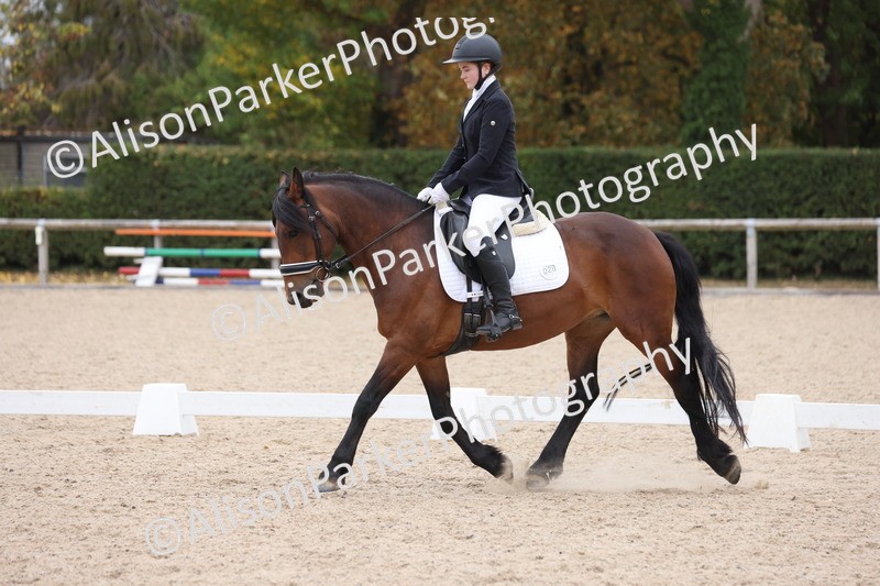 20250820-1220 - Class 18 - Elementary 5