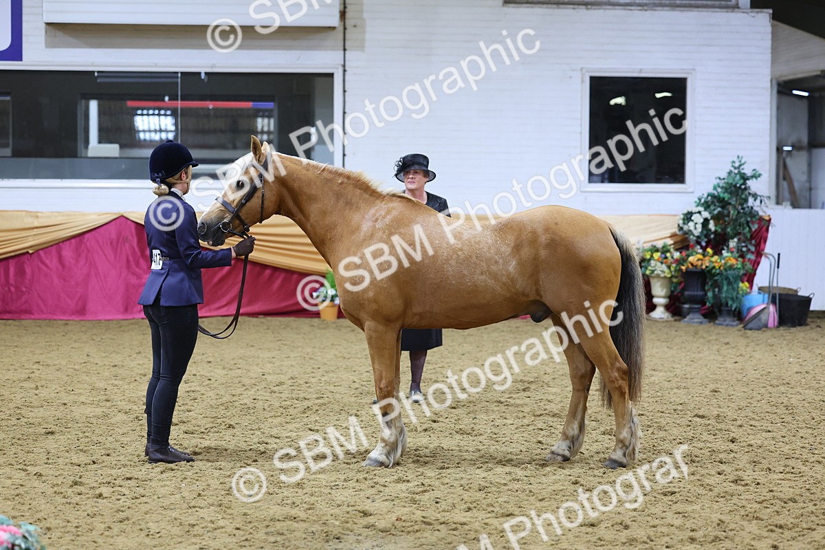 SBM_19668 - Class 901 - Supreme Final - IH Diamond