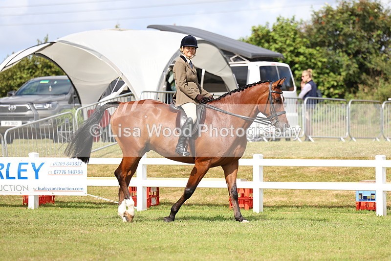 3E7A9251 - Class 4: Rising Star M/H Hunter