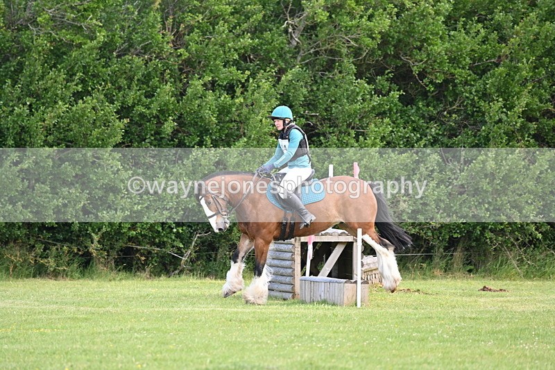 WJ6_2606 - Class 2 40cm