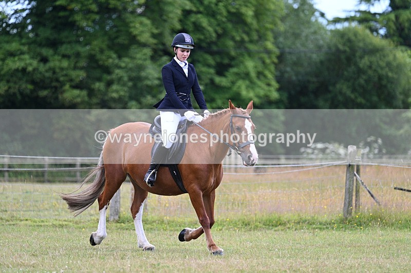 WJ7_9049 - Class 8 Ridden Veterans