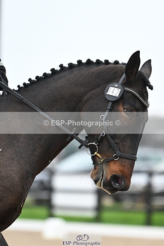 241103-124014-02069 - Prelim 2 - 12.05 to 13.15