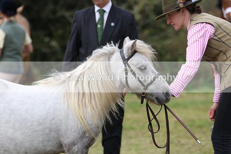 3E7A4457 - Class 15: Three Year Olds