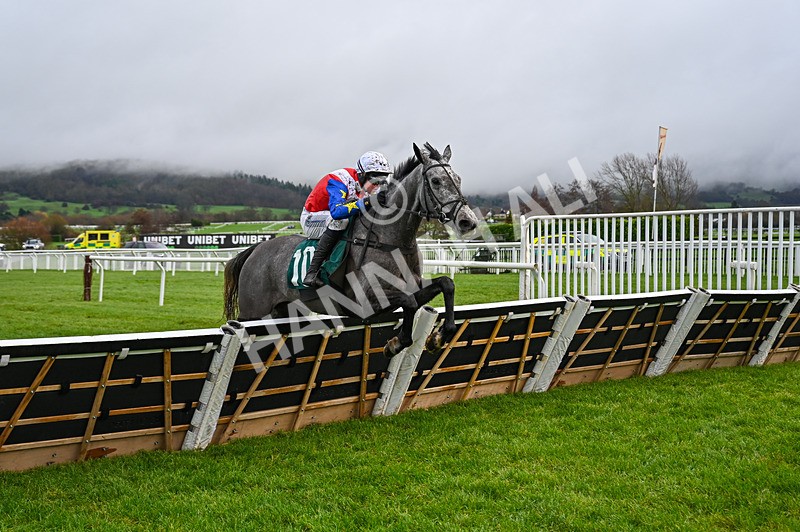 121225-Race 1-Delta Blues Belle-3327 - Race 1