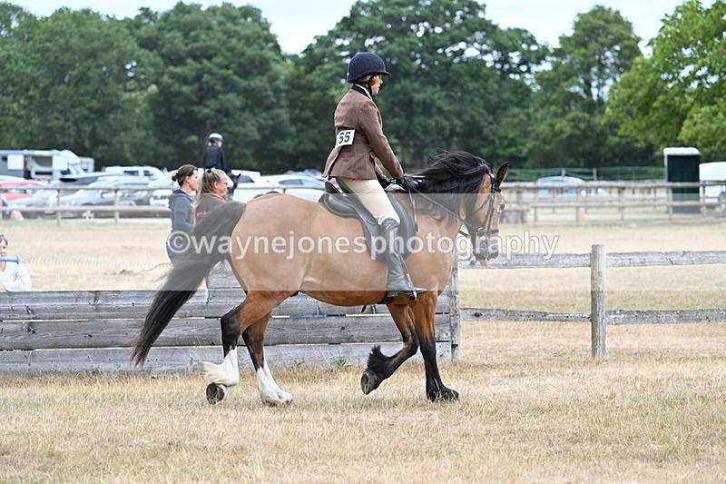 WJ7_0503 - Class 6 Ridden Mountain and Moorland