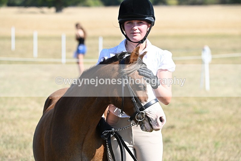 WJ6_7640 - Class 34 Judges Choice
