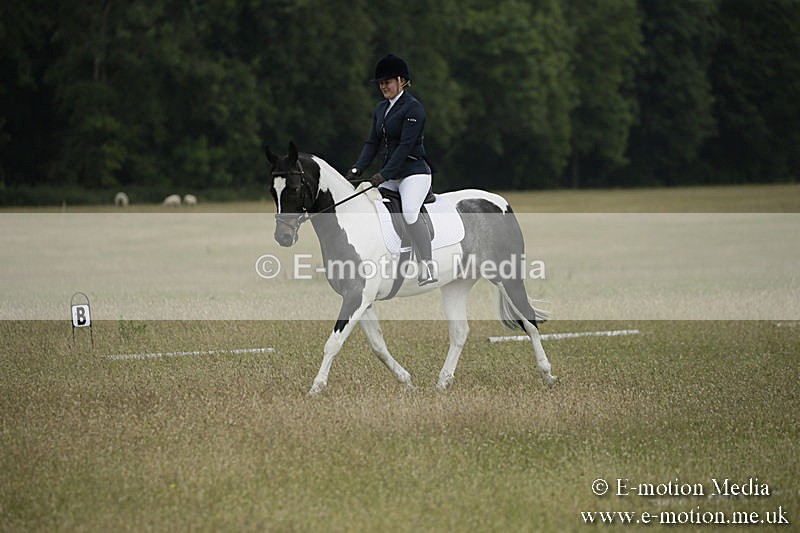 B230619-0370 - Bourne Valley Riding Club Summer Show 23/06/19