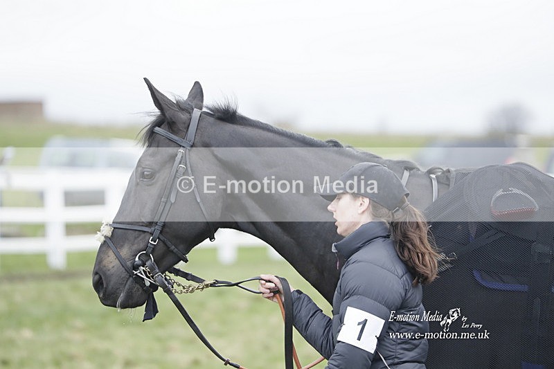 PtP 260323 0767 - New Forest Hounds Point-to-Point Larkhill 26/03/23