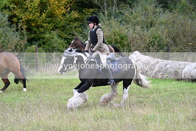 WJ7_3966 - Camera 1 Line 1