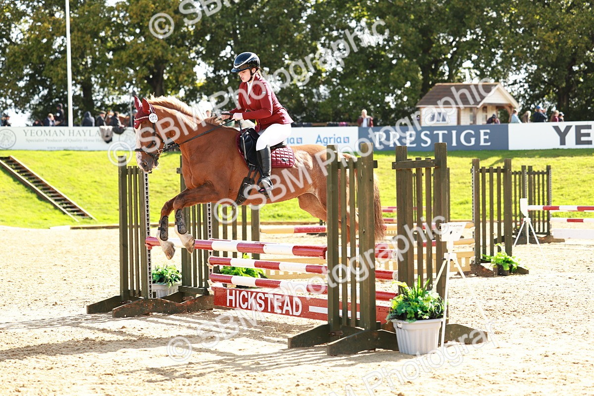 SBM_38085 - J39 - Senior Horse & Pony 85cm Championship