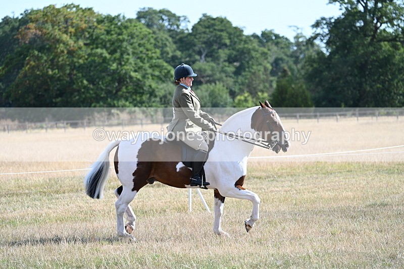 WJ7_2815 - Class 8 Ridden Tack & Turnout