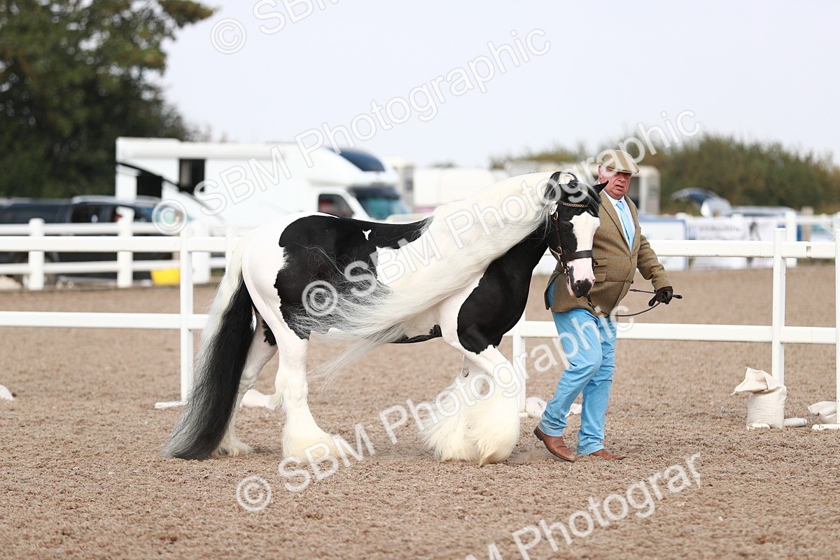 SBM_13822 - Class 209 IH Veteran Pony