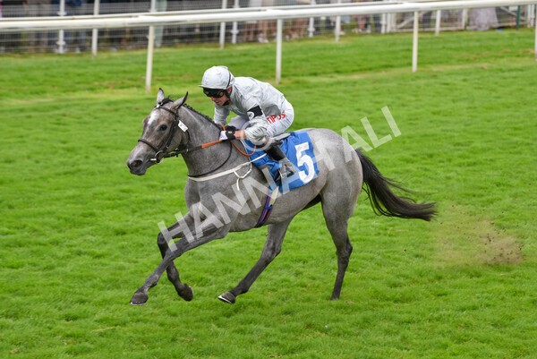 yr24072021r4-10 - Race 4 3.50pm Sky Bet Britain's Most Popular Online Bookmaker EBF Restricted Novice Stakes (Plus 10