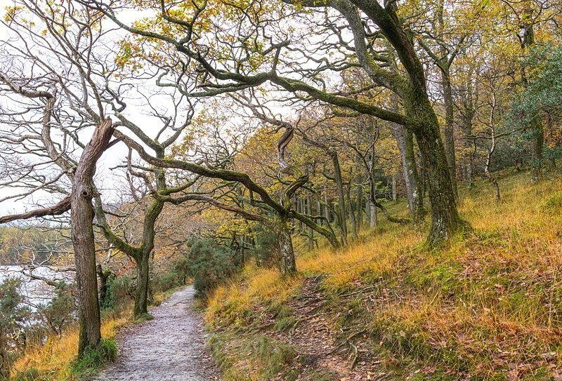  - Lake District, UK