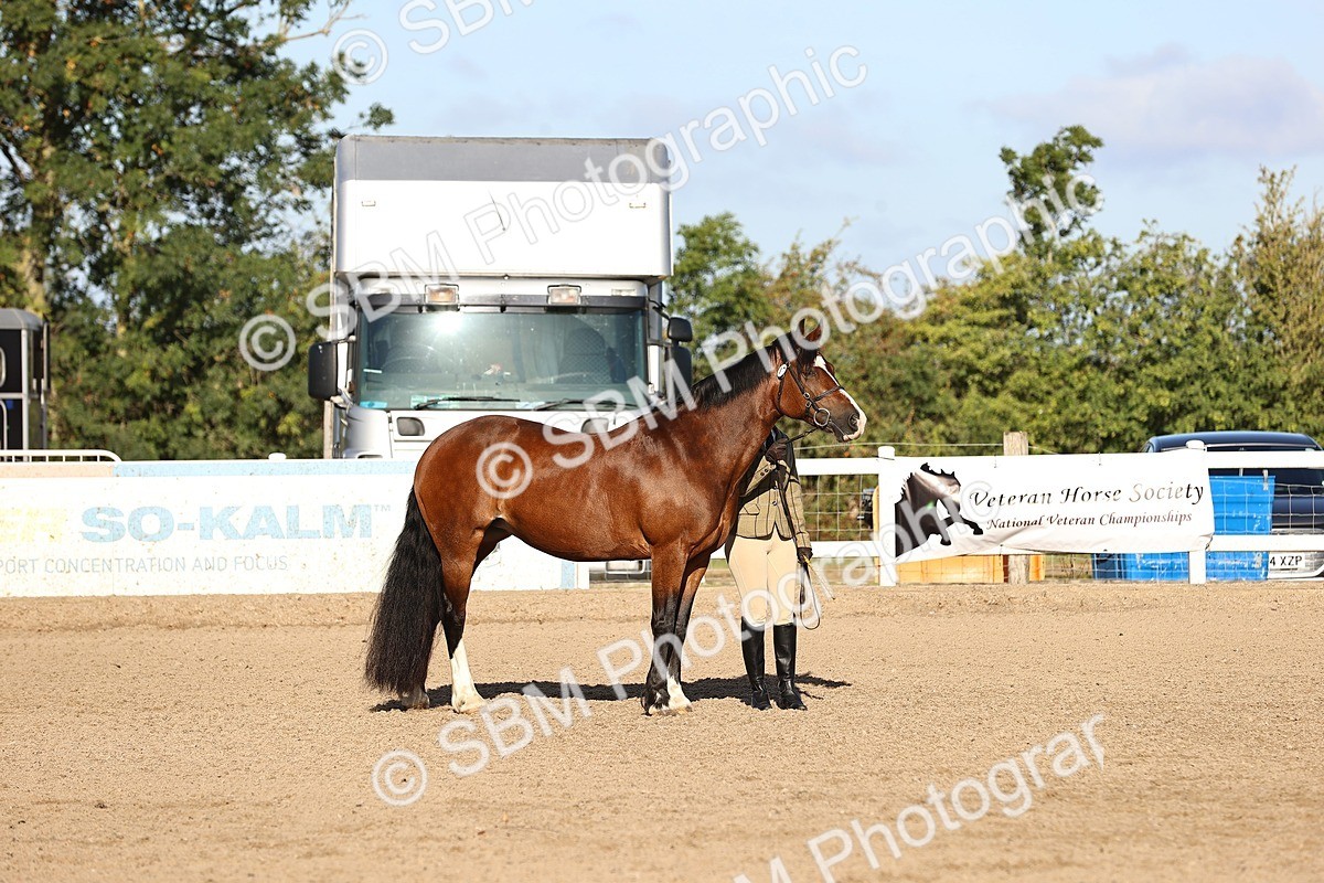SBM_08401 - Class 402 - IH Veteran Pony