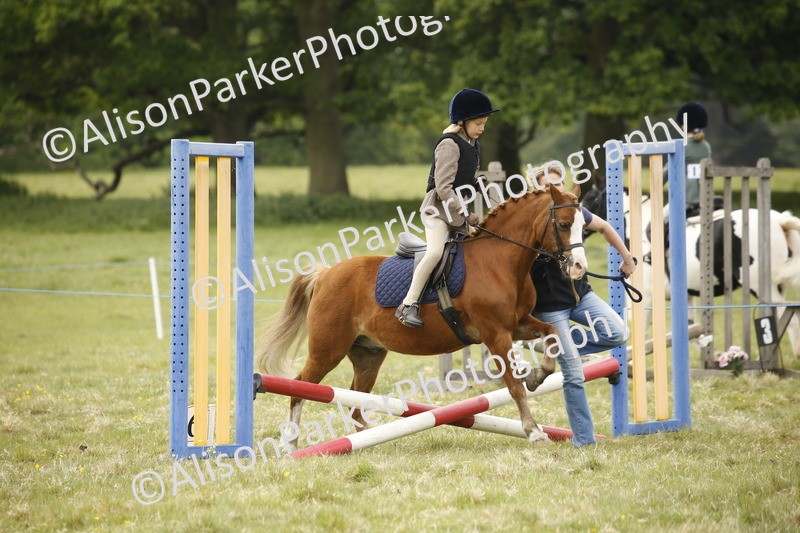 20250517-0313 - Class 1 - 30cm On Lead Rein