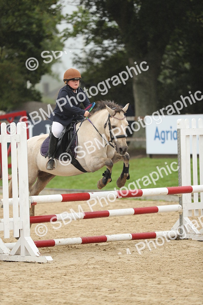 SBM_73788 - J16 - Junior Pony 75cm Championship