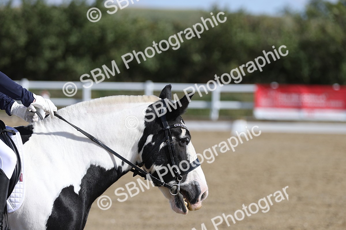 SBM_001231 - Class 2 - Intro 4 Champs - 9.44-10.38