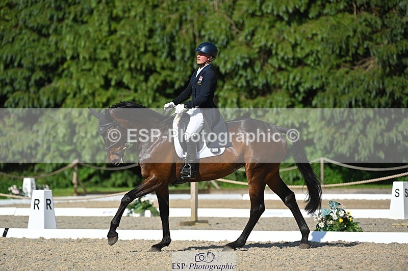 230526-172035-07578 - 262-TREAMBLE-Finn_Healy-WEDTrotUp+DR