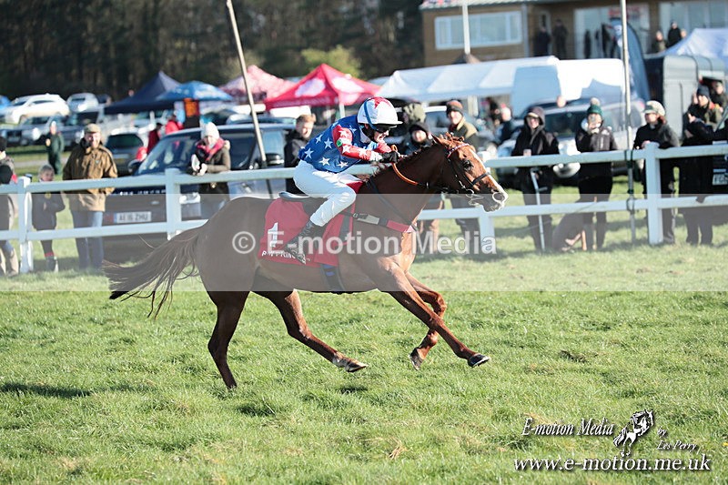 PtP 230324 1181 - Tedworth Hunt PtP Larkhill Raccourse 23rd March 2024