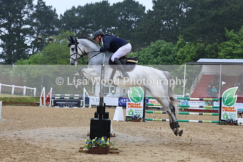 3E7A7384 - Class 8: Senior Foxhunter/1.20 open