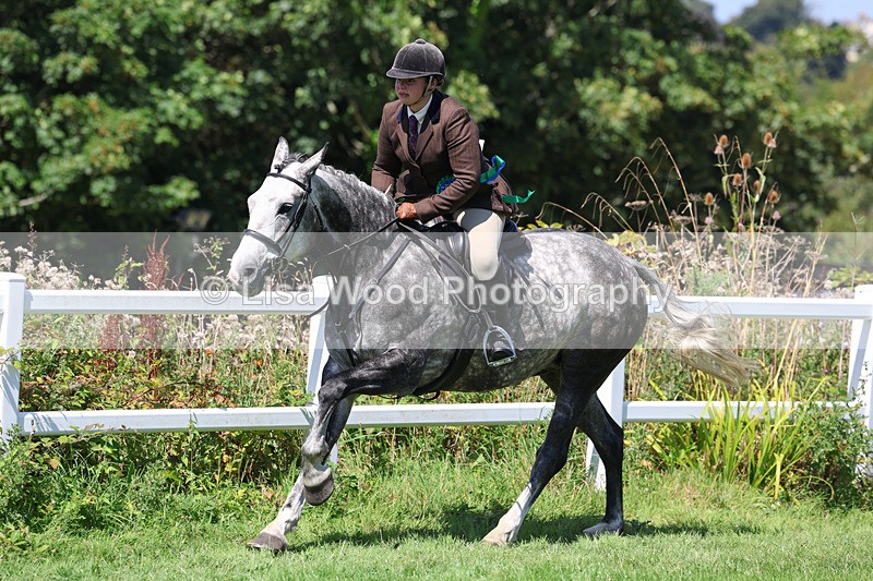 3E7A9250 - Working Hunter Championship