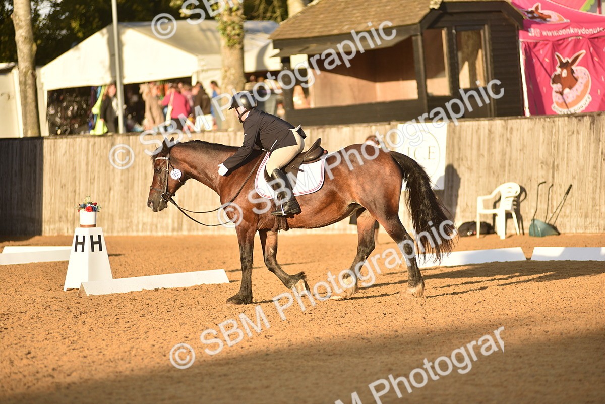 SBM_53529 - D24 - Junior Championship Prelim 3