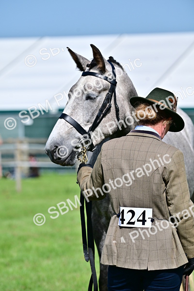 SBM_03332 - Class 50 - 54 Light Horse Breeding