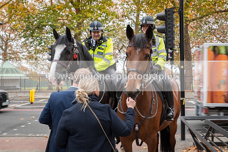 Z62_4476 - Animals In War Memorial 2025 - Park Lane, London
