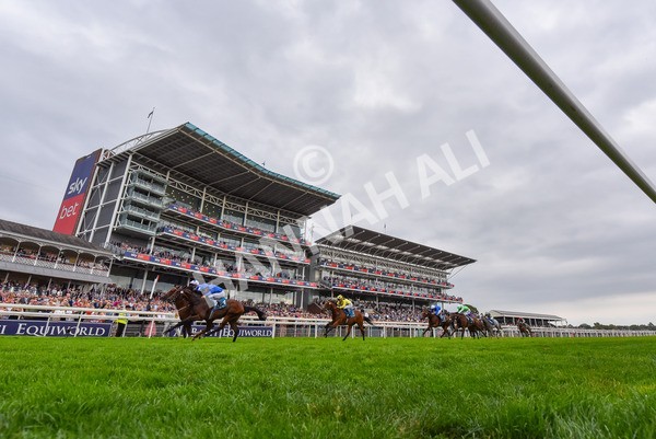 230825-Race 6-Revival Power-9962 - Race 6 4.45pm Julia Graves Roses Stakes