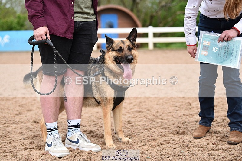 240518A-121018-01110 - Cls 3 Handsomest Dog
