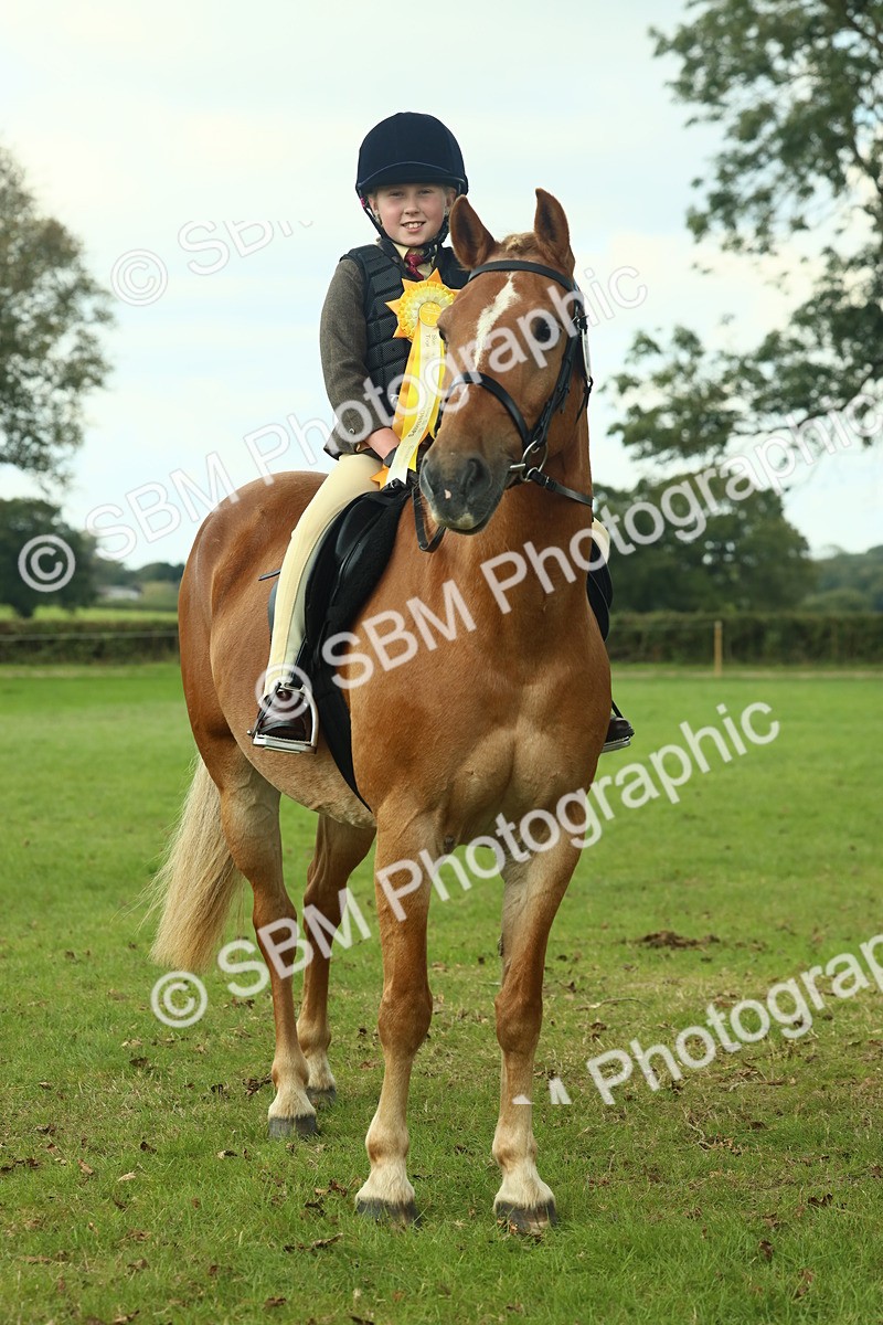 SBM_62544 - S62 - Foreign Breeds Ridden