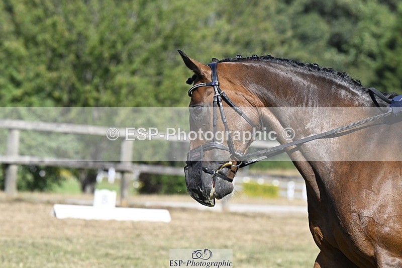 250822A-104714-20454 - DR 10.00 to 11.00