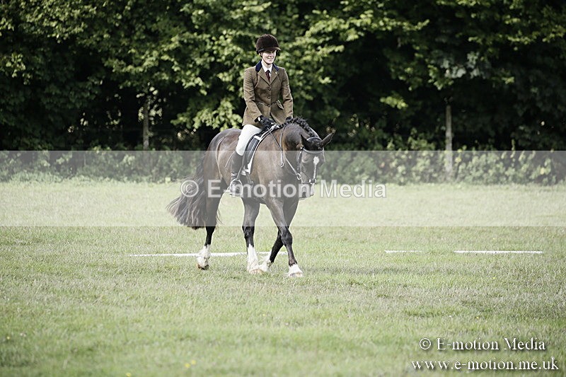 BVR090918 279 - BVRC Dressage and Show Jumping 09/09/18