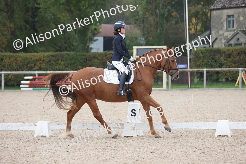 20251012-0662 - Class 5 - Elementary 5