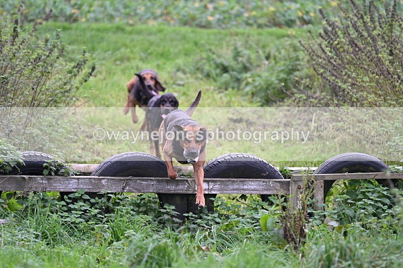 WJ7_8932 - Camera 1 only on this line