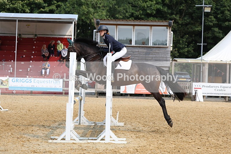 3E7A1450 - Class 4: Senior British Novice/90cm open