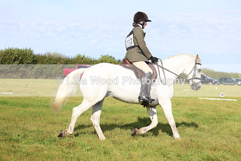3E7A5843 - Class 1: Trebudannon Open: Dressage (Part 2)
