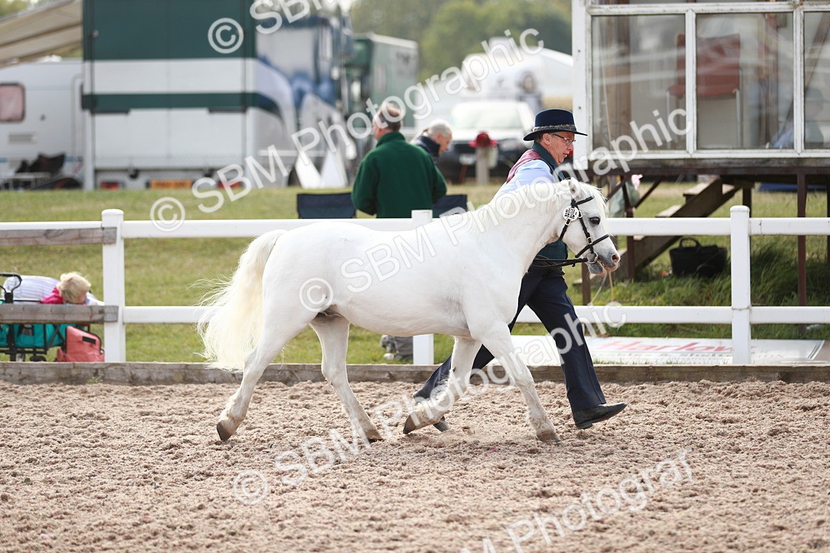 SBM_13879 - Class 209 IH Veteran Pony