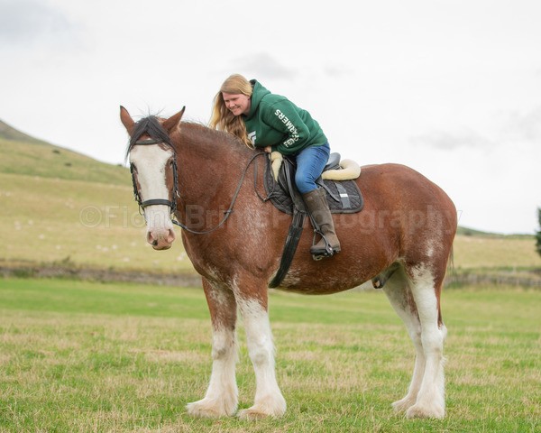 Dionne-152 - DGClydesdales